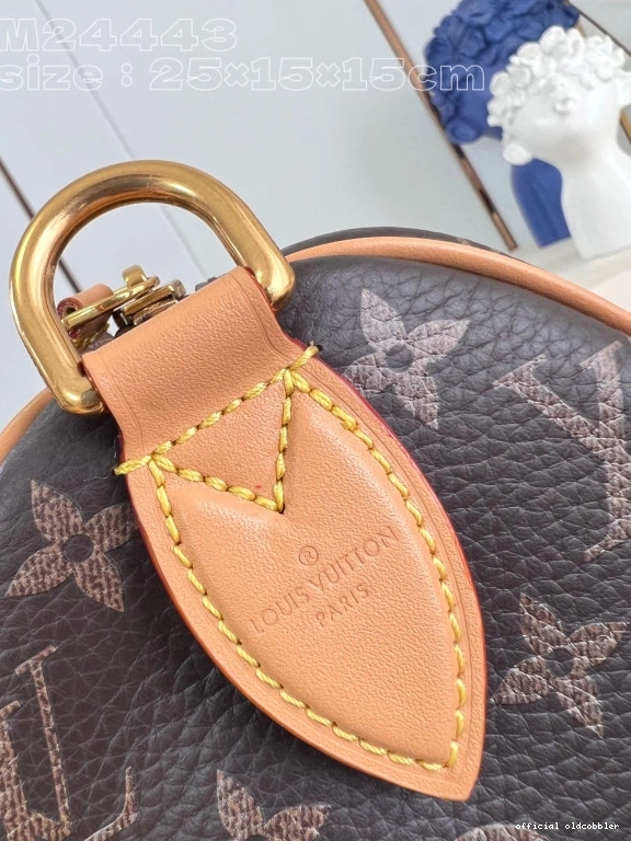 Official oldcobbler SPEEDY Louis Vuitton 25 0815